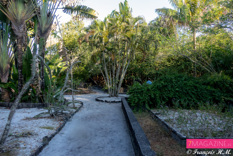 Une flore exceptionnelle... Une flore exceptionnelle...