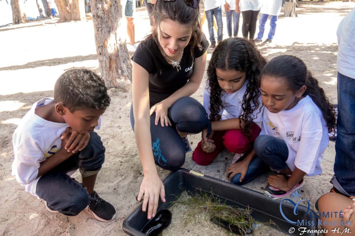 Opération éco-citoyenne Canal+ avec les 12 candidates Miss Réunion et des enfants