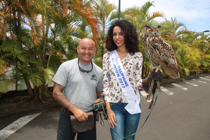 Avec le dresseur de hibou...