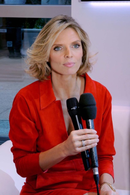 Sylvie Tellier, directrice générale de Miss France Organisation Sylvie Tellier, directrice générale de Miss France Organisation