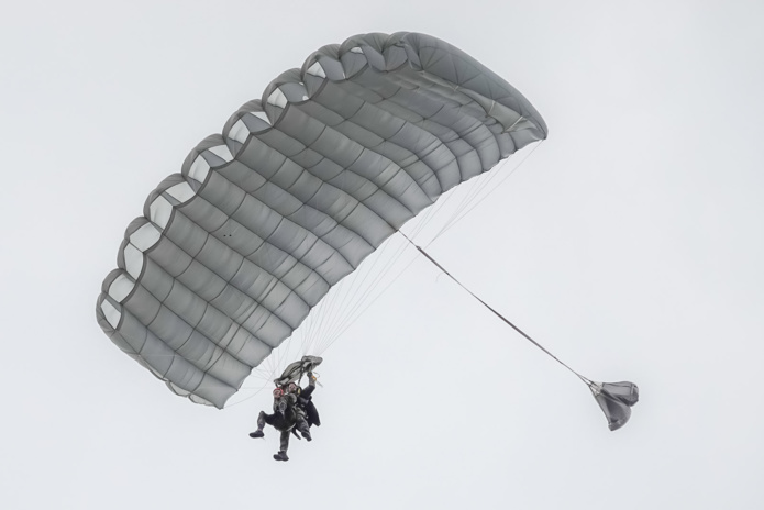 Elle a sauté! Elle a sauté!