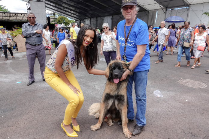 Miss Réunion 2018 à la Journée des Personnes Agées au Tampon Miss Réunion 2018 à la Journée des Personnes Agées au Tampon