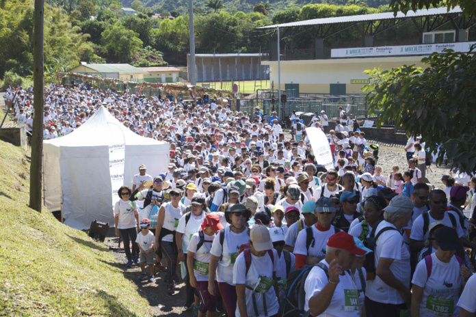 Miss Réunion 2019 et ses dauphines au Pandathlon 2019 à l'Entre-Deux Miss Réunion 2019 et ses dauphines au Pandathlon 2019 à l'Entre-Deux