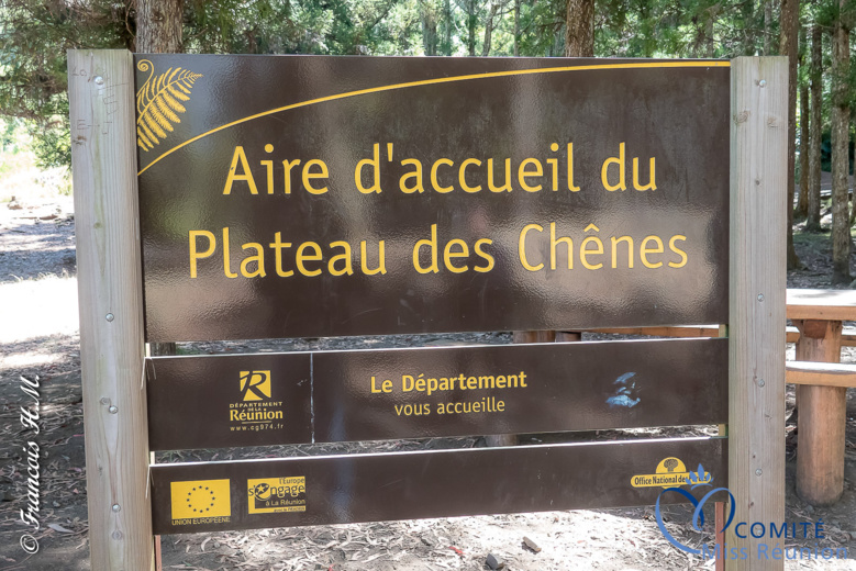 Les 12 candidates en pique-nique au Plateau des Chênes