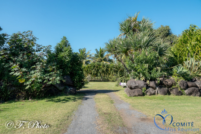 Les candidates 2021 au Jardin des Mille et Une Saveurs à Saint-André Les candidates 2021 au Jardin des Mille et Une Saveurs à Saint-André