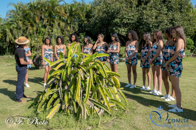 Les candidates 2021 au Jardin des Mille et Une Saveurs à Saint-André Les candidates 2021 au Jardin des Mille et Une Saveurs à Saint-André