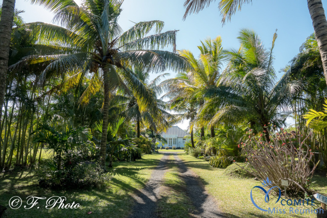 Les candidates 2021 au Jardin des Mille et Une Saveurs à Saint-André Les candidates 2021 au Jardin des Mille et Une Saveurs à Saint-André