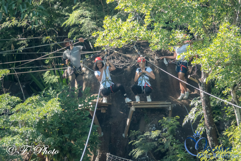 C'est parti! C'est parti!
