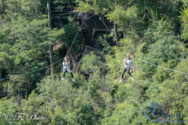 Séquence accrobranche à Acroroc Parc Aventure pour les candidates 2021