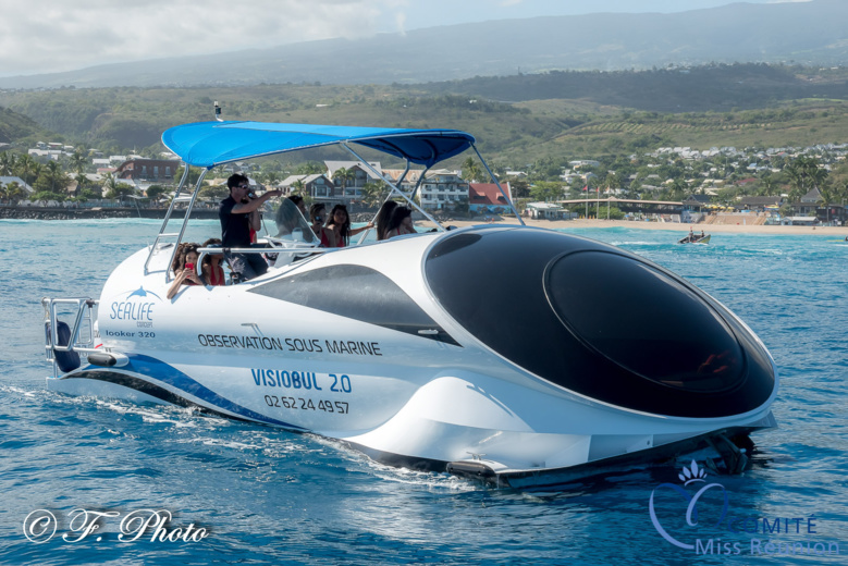 Le Visiobul, une activité à découvrir... Le Visiobul, une activité à découvrir...