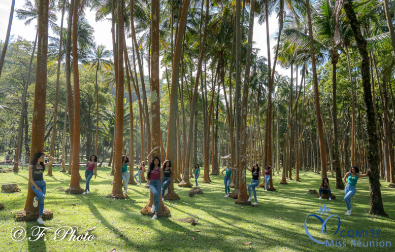 Elles ont joué à cache-cache avec les arbres du lieu Elles ont joué à cache-cache avec les arbres du lieu