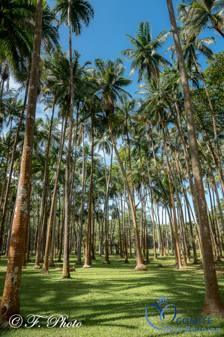 Arrêt à l'Anse des Cascades pour les candidates Miss Réunion 2021 Arrêt à l'Anse des Cascades pour les candidates Miss Réunion 2021