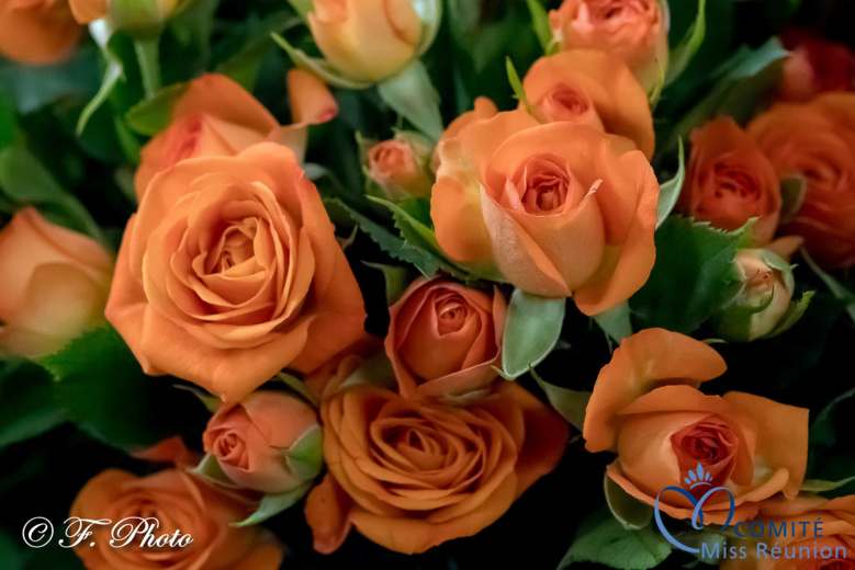 Les candidates 2021 Au Pays des Fleurs...