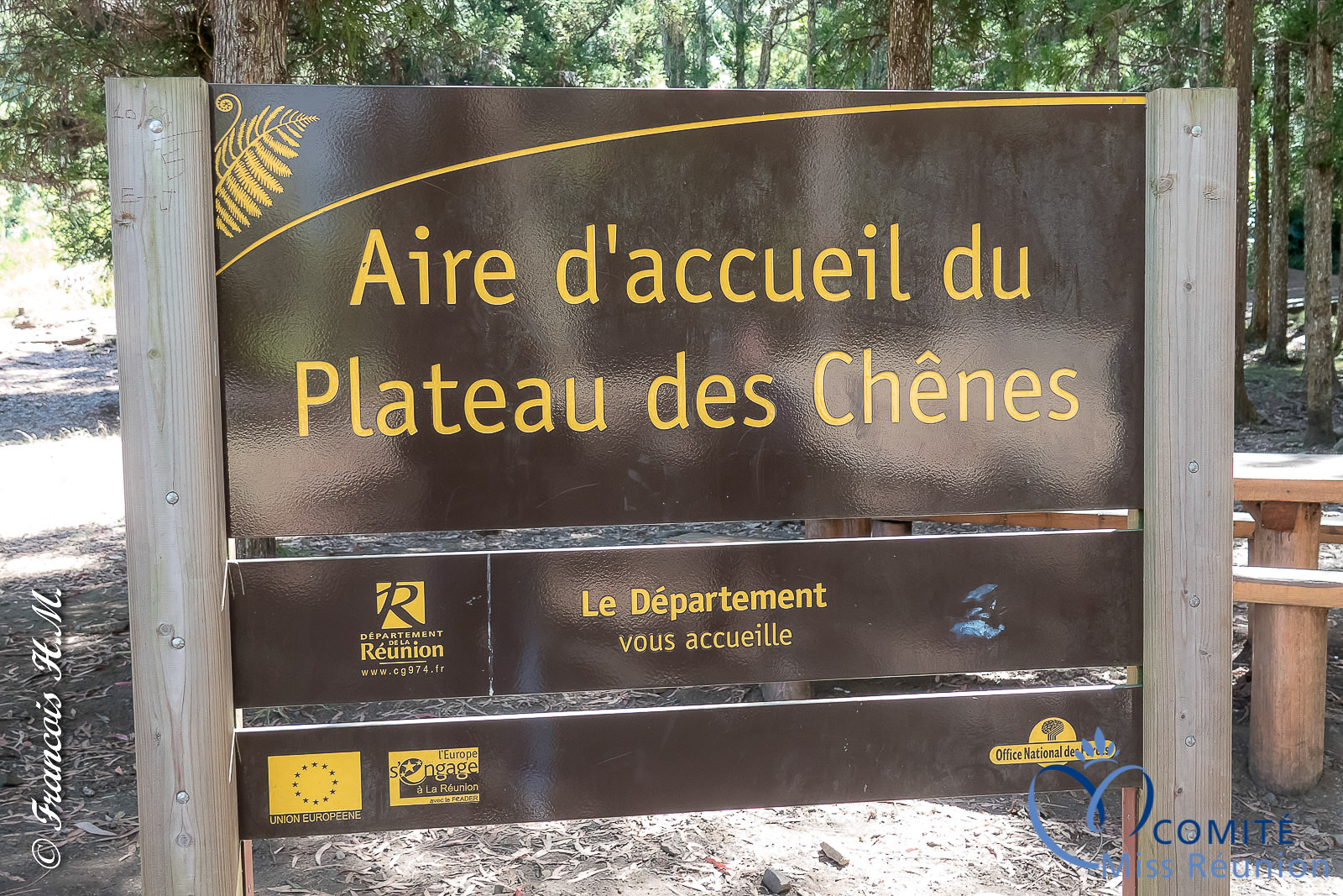 Les 12 candidates en pique-nique au Plateau des Chênes