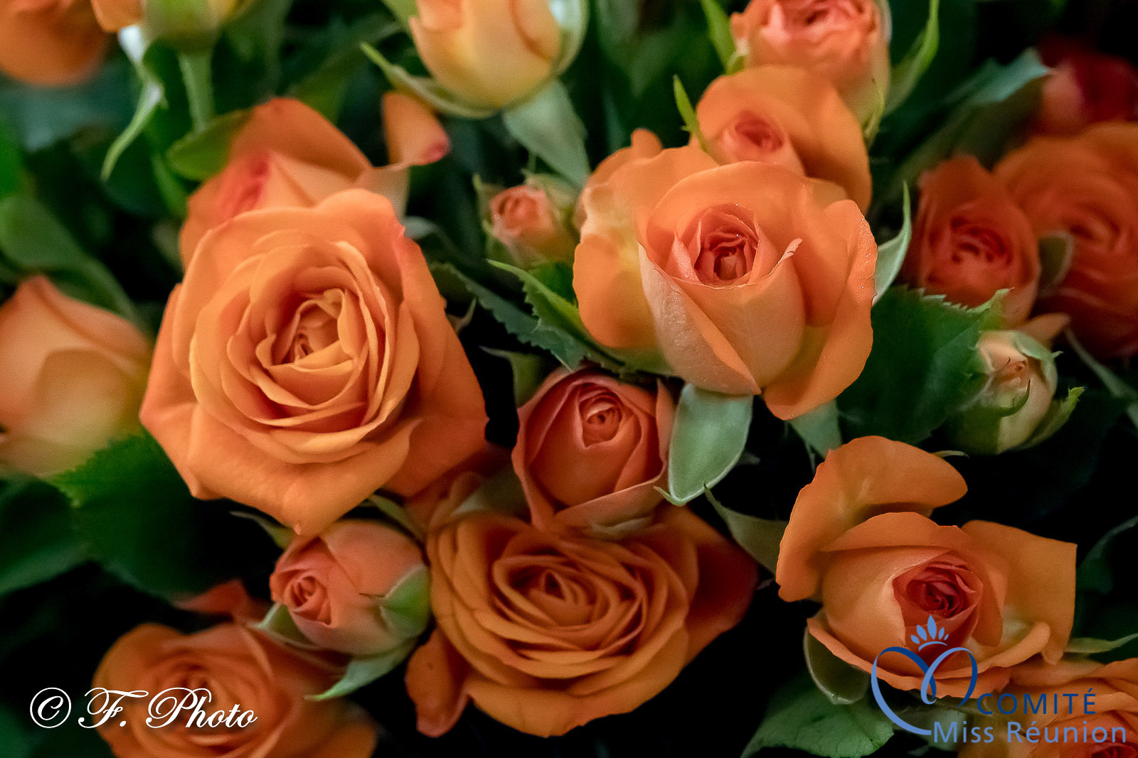 Les candidates 2021 Au Pays des Fleurs...